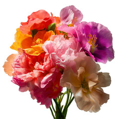 Vibrant bouquet of colorful flowers (1)