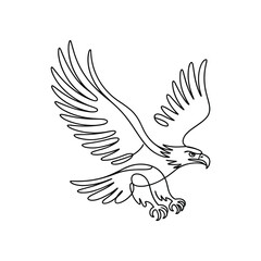 Obraz premium Adobe Illustrator Artwork