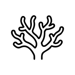 Obraz premium coral issolated in white