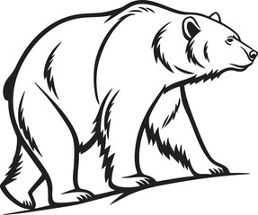 Fototapeta premium vector illustration of a bear
