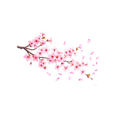 Fototapeta premium Pink cherry blossom branch vector with delicate flowers and a small bird, a beautiful spring illustration on a white background