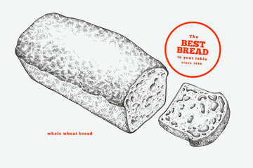 Hand Drawn Vector Whole Grain Bread Illustration. Not AI Generated. Retro Bakery Isolated Image. Old School Food Design