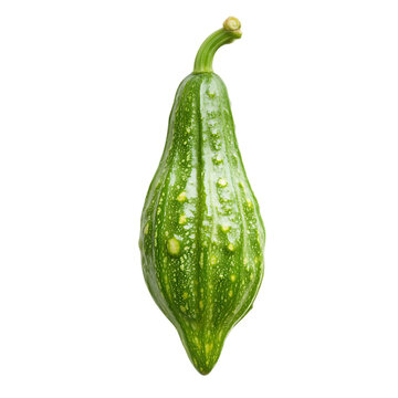 Pointed gourd or potol