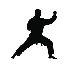  Martial arts practitioner performing dynamic karate kata, powerful side stance, disciplined training,