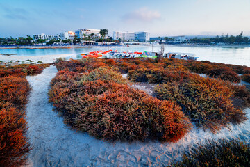 Nissi Beach in Ayia Napa, Cyprus. Morning on a paradise beach in this seaside resort in Cyprus....