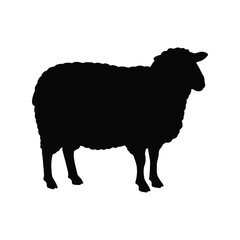 Silhouette of a black sheep standing profile view isolated on white background