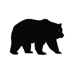 Silhouette of a large brown bear walking facing right isolated on white background