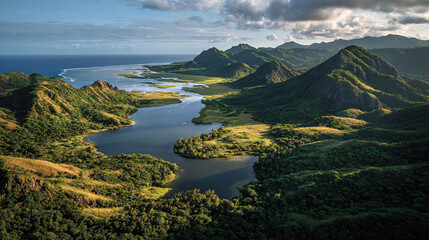 Aerial view of a lush, tropical landscape with mountains meeting the ocean. Coastal wetlands and a winding river enhance the scene's natural beauty.