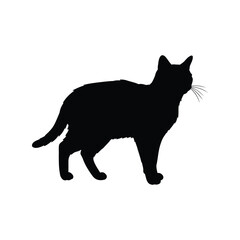 Black silhouette of a domestic cat standing alertly isolated on white background
