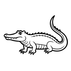 crocodile isolated on white background
