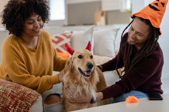 African American couple styling golden retriever with devil horns in living room and pumpkin decor