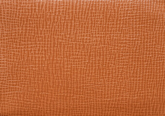 Fototapeta premium texture of brown colored raw leather background 