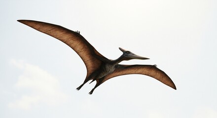 Fototapeta premium Pterosaurien plane majestueusement ciel clair lumiere douce vol puissant. AI Generated