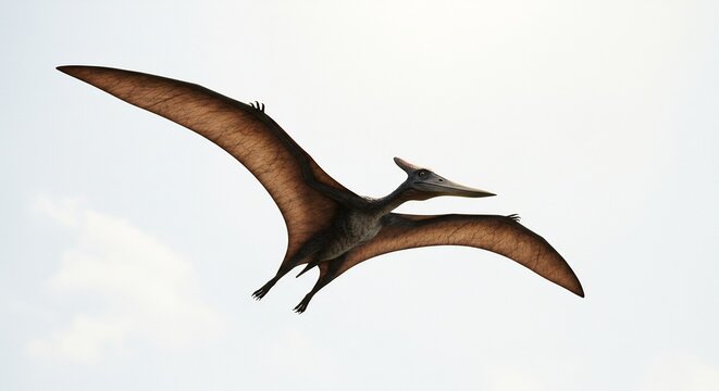 Pterosaurien plane majestueusement ciel clair lumiere douce vol puissant. AI Generated