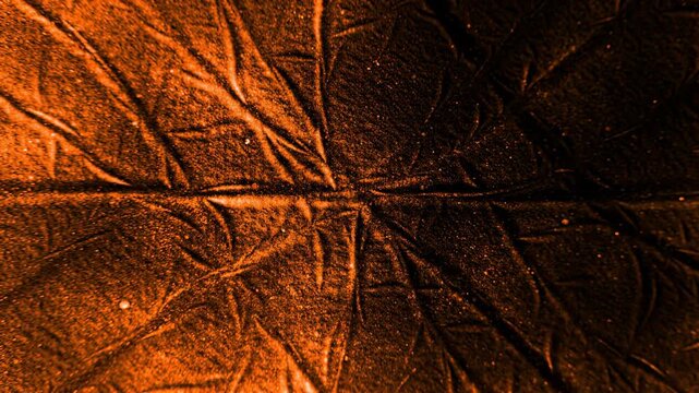 Close-up of textured orange leaf surface with prominent veins.