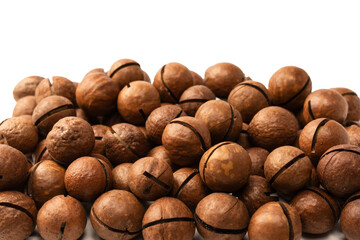Macadamia nuts in a shell isolated on a white background.