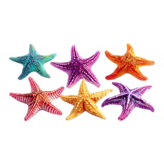 Colorful starfish clipart on white background