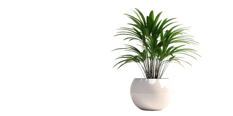 Modern Plant Pot Isolated on Transparent Background