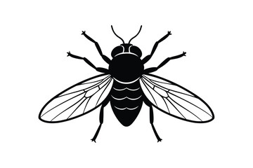 Silhouette design illustration of a housefly on a surface.eps