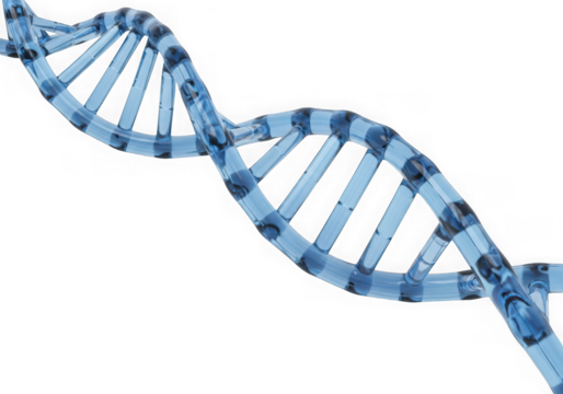3d icon of a blue, transparent double helix dna molecule, representing genetics and science, isolated on transparent background
