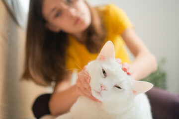 Young girl gently embracing her fluffy white feline companion. Heartwarming portrait showing tender...