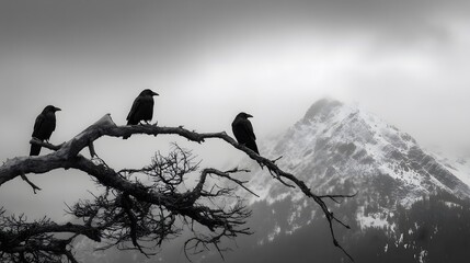 Tranquil yet ominous alpine scene, three crows quietly sitting on a withered tree