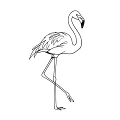 Obraz premium Simple linear sketch, flamingos in minimalist style, in black and white