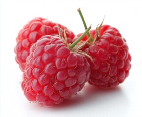 Fresh Raspberries with Green Leaves Still Life on White Background, Velvety Drupelets Aggregate Fruit, Hollow Receptacle and Thorns