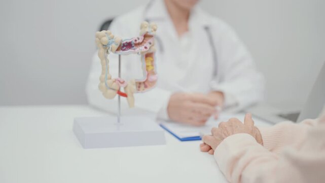 Elderly woman Patient consultation with doctor for Colon disease, Large Intestine, Colorectal cancer, Ulcerative colitis, Diverticulitis, Irritable bowel syndrome, Digestive system and Healthcare 