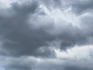 Obraz premium Dramatic Grey Storm Clouds with a Bird Flying