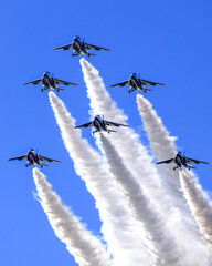 日本周遊　自衛隊百里基地航空ショー