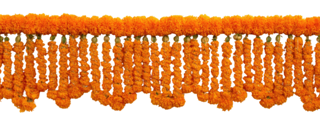 Orange textured fringe trim