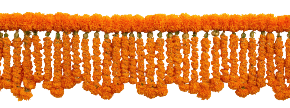 Orange textured fringe trim