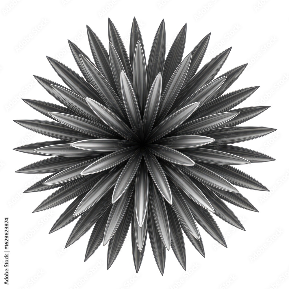 Leinwandbilder intricate abstract geometric starburst pattern with radial symmetry and sharp edges isolated on tran