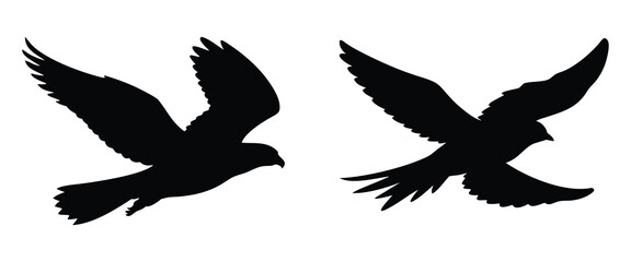 Obraz premium Silhouette of Two Flying Birds Facing Each Other on White Background