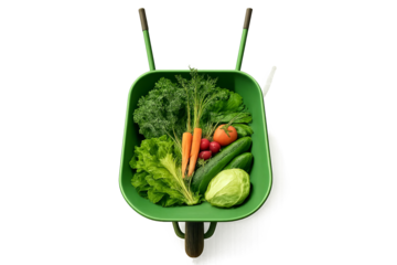 Top view of green wheelbarrow full of fresh vegetables, transparent background