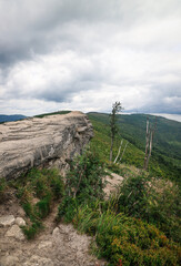 Malinowska Skała - Beskidy, Beskid śląski 