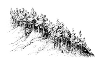 Illustration of a hillside forest landscape with dense trees and foliage in black and white drawing style