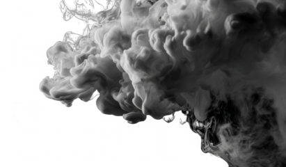 Abstract grayscale ink bloom