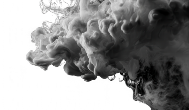 Abstract grayscale ink bloom