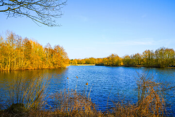 View of the forest lake near Saerbeck and the surrounding landscape. Nature in winter near the Saerbeck bathing lake.
