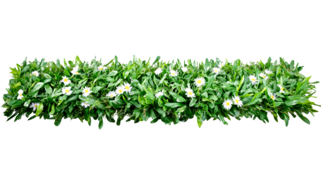 White flower artificial greenery on transparent backdrop