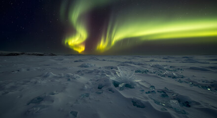 Aurora borealis northern lights winter landscape night sky scenic view arctic circle polar region ice 100