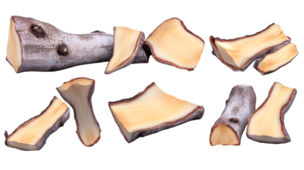 Realistic wood slices and logs on a transparent background