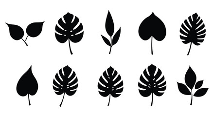 Collection of ten black silhouette tropical plant leaves and foliage on a white background
