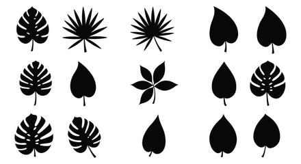 Collection of various tropical palm and monstera leaf silhouettes on a white background