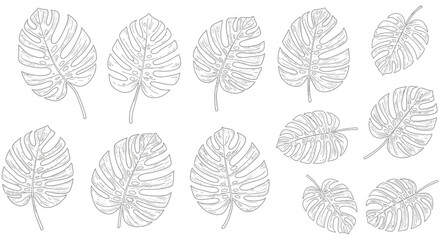 Collection of hand drawn monstera leaf outlines in a simple black and white sketch style