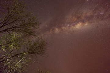 Milky Way Over the Serengeti Night Sky, Tanzania