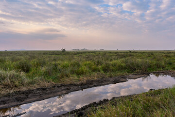 Serengeti Dusk Landscape with Reflections in Water, Tanzania