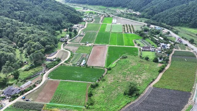홍천 공작산 수타사